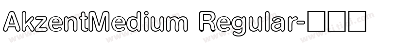 AkzentMedium Regular字体转换